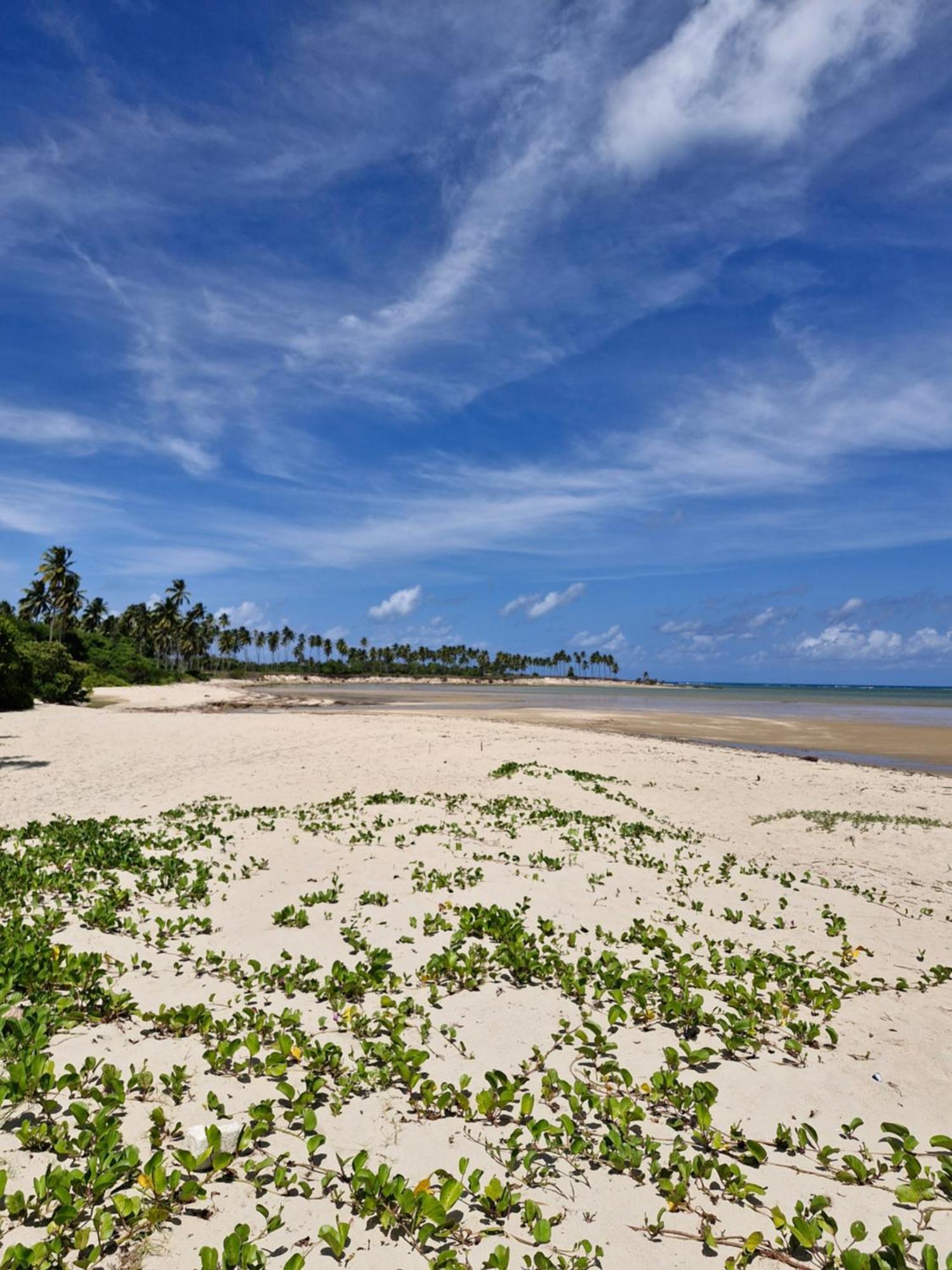 Msflats Paripueira Praia Wifi Ar Cozinha E Varanda Nascente C Rede 外观 照片