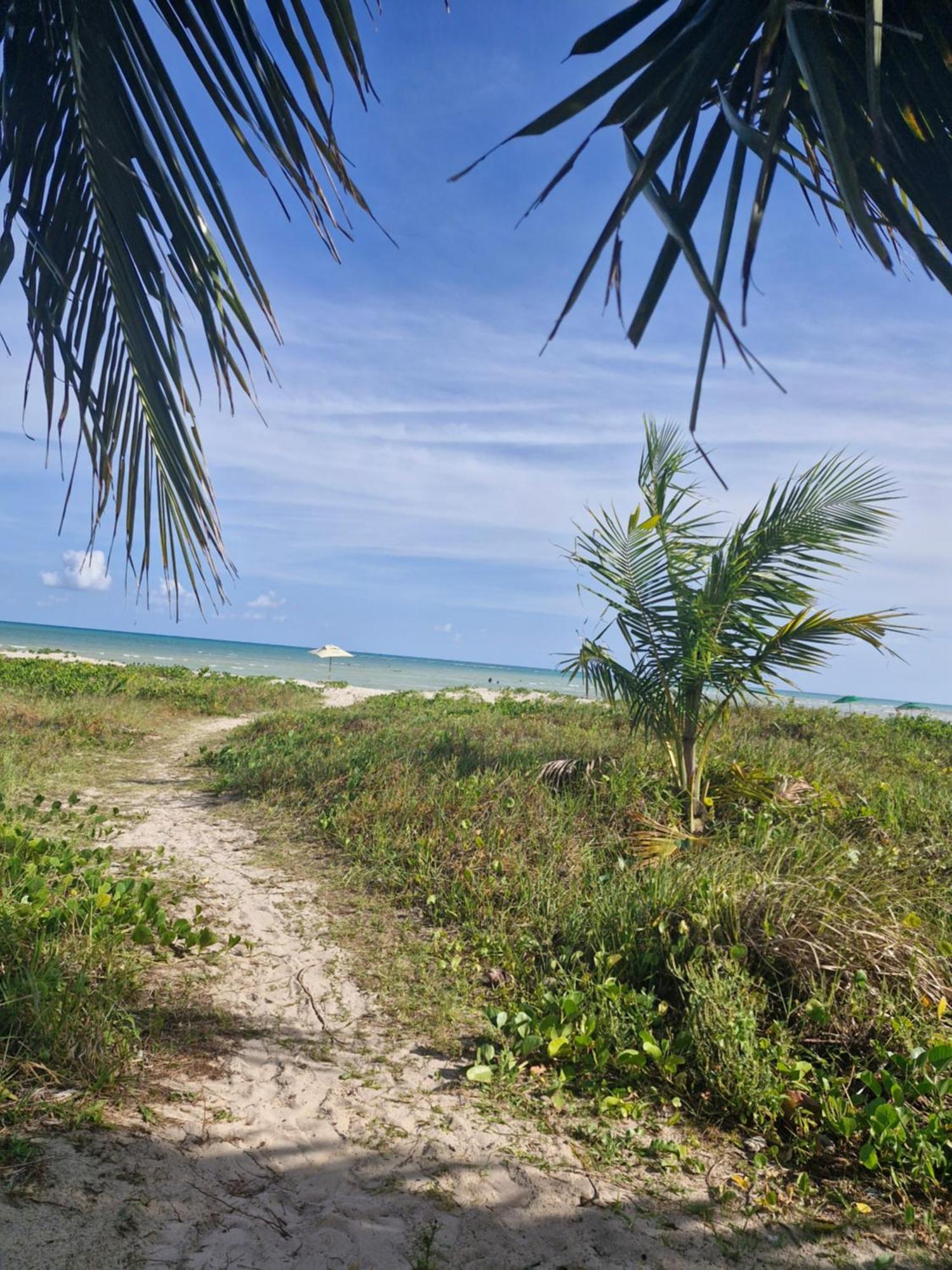 Msflats Paripueira Praia Wifi Ar Cozinha E Varanda Nascente C Rede 外观 照片